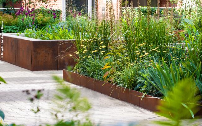 Plant bed with lushious vegetaion surrounded by rusted steel edgings